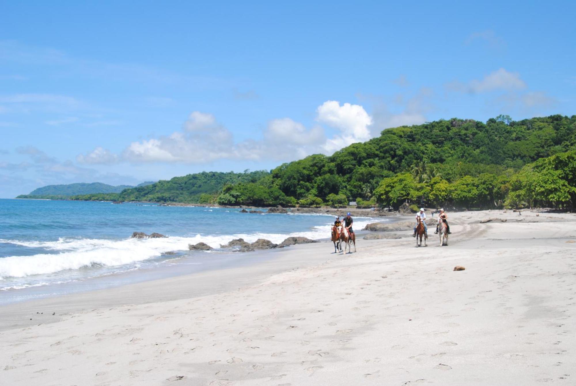 El Pargo Feliz Hotell Montezuma Exteriör bild